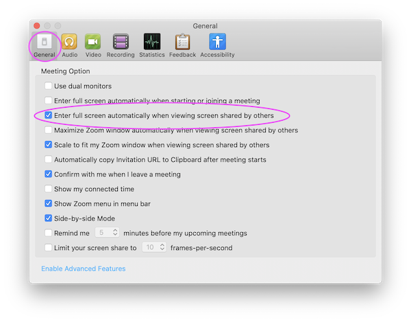 Screenshot of Zoom settings